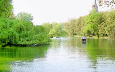 Question d’actualité jointe concernant la prise en compte de la diminution des espaces verts dans la politique bruxelloise de planification territoriale