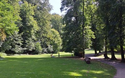 Question orale concernant l’état sanitaire des arbres du parc Duden à Forest, les abattages et leurs conséquences sur la biodiversité