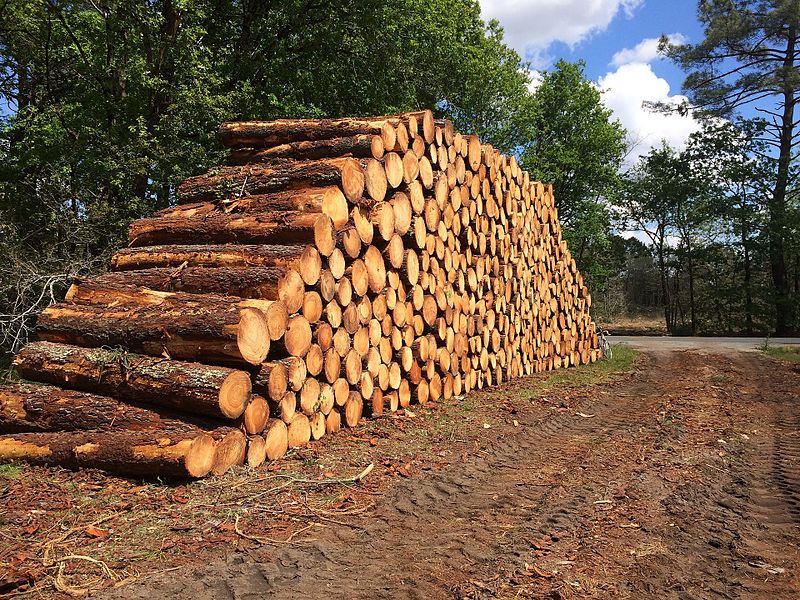 Question orale concernant l’exploitation du bois issu de la forêt de Soignes et sa destination
