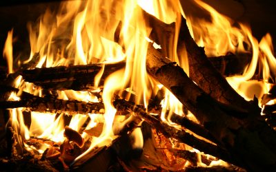 Question orale concernant la pollution de l’air due aux feux de bois domestiques