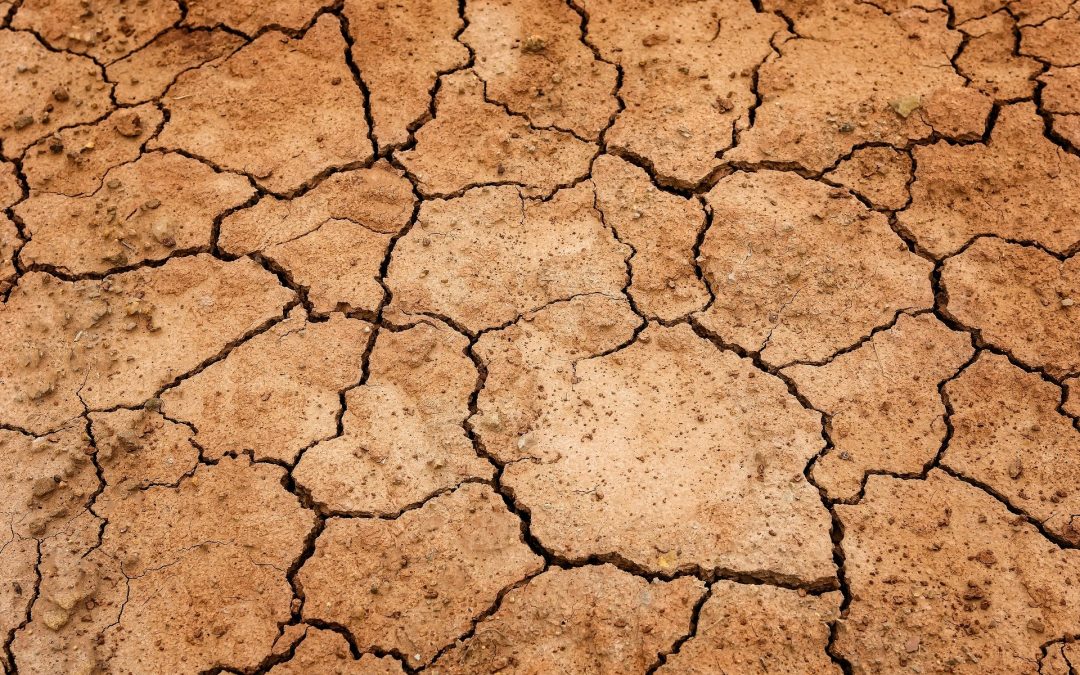 Question d’actualité jointe concernant la mise en place annoncée d’un plan sécheresse bruxellois