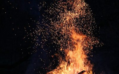 Question orale concernant la prévention des incendies en forêt de Soignes